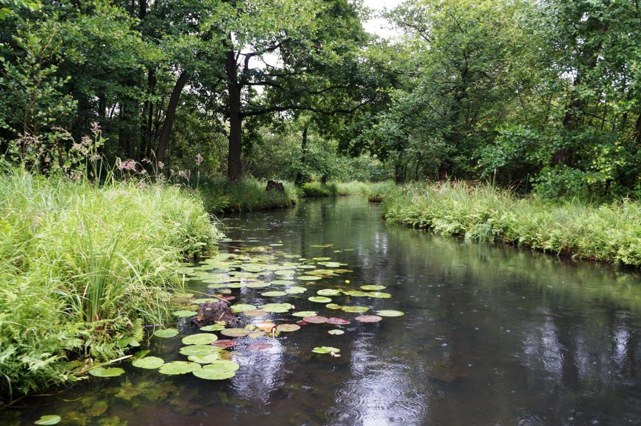 Blugarden Ferienapartments Im Spreewald Lubben Luaran gambar